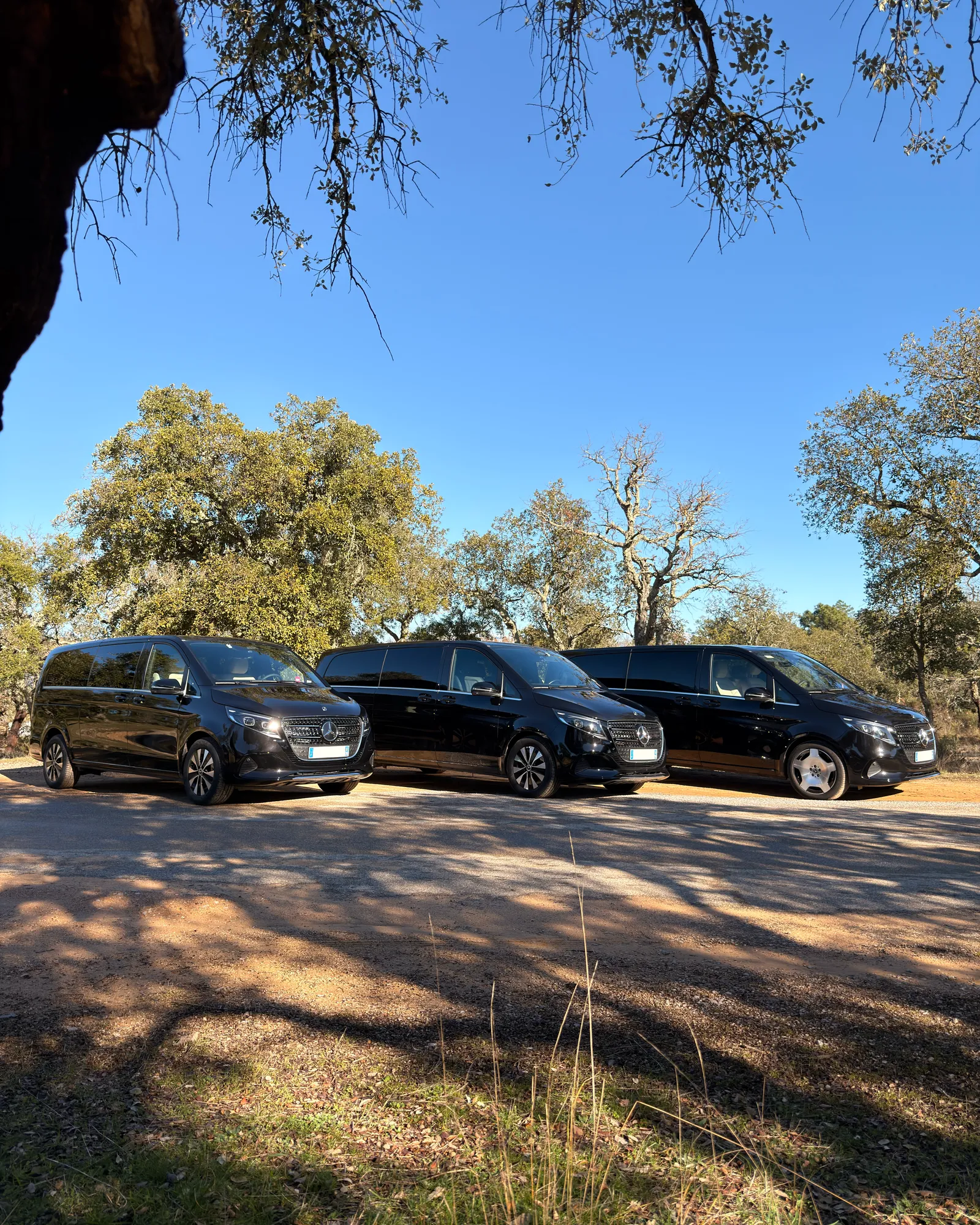 Pack Confort Invités